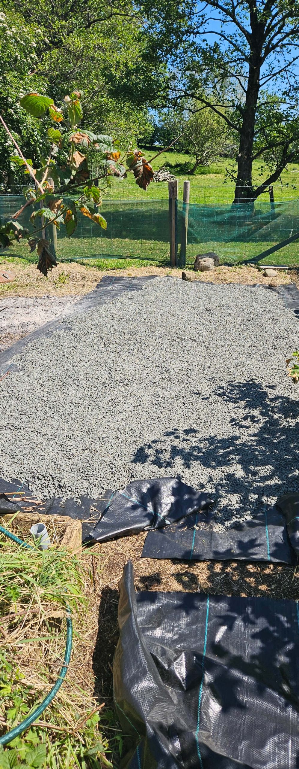 apiary-gravel-path-2-scaled The Best Birthday Present Ever (Even If It Was a Few Months Late)