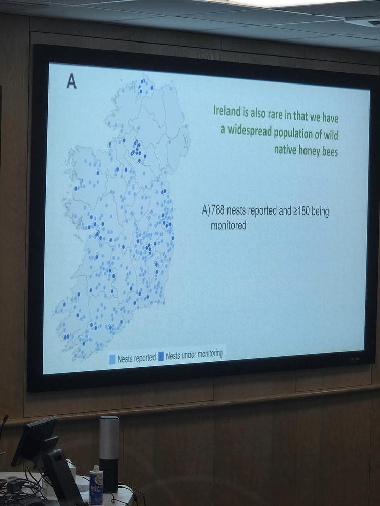 blog_04_wild_colony_map-rotated Why Our Bees Have Been Here Longer Than Basically Everything (And Why That Made Mum Cry a Bit)