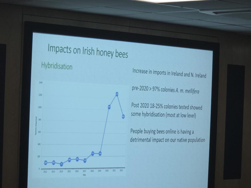 blog_05_import_spike_graph Why Our Bees Have Been Here Longer Than Basically Everything (And Why That Made Mum Cry a Bit)
