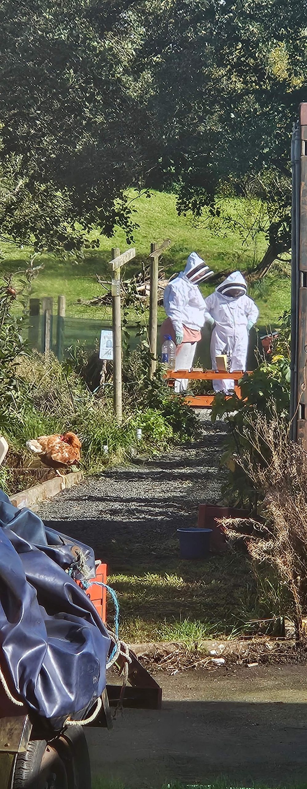 our-hive-at-home-scaled Our Queen Did WHAT?! (The One Where Everything Nearly Goes Wrong Before We Even Start)