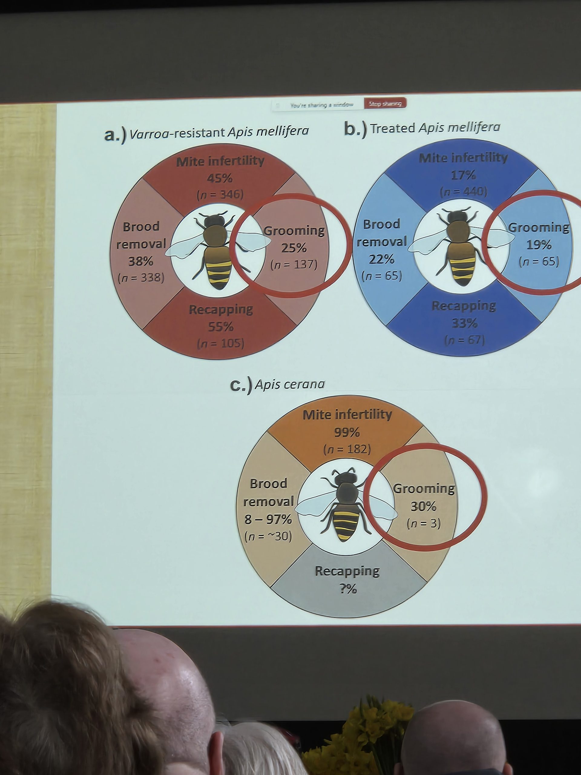 20260214_111301-scaled The Secret Lives of Varroa Mites (Or: How Bees Are Way Smarter Than We Give Them Credit For)