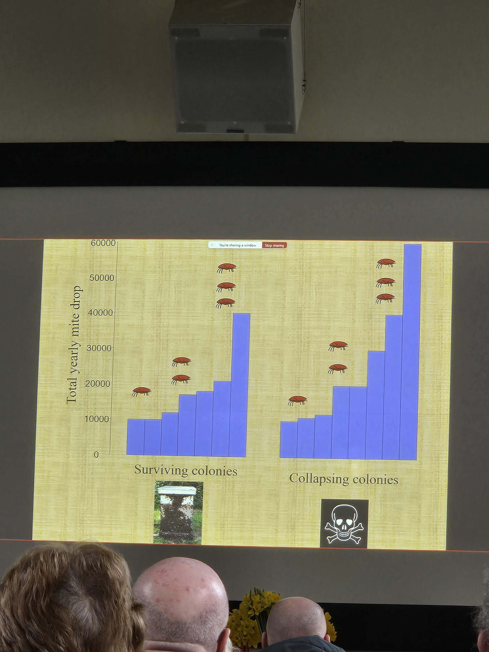 20260214_113235-scaled The Secret Lives of Varroa Mites (Or: How Bees Are Way Smarter Than We Give Them Credit For)