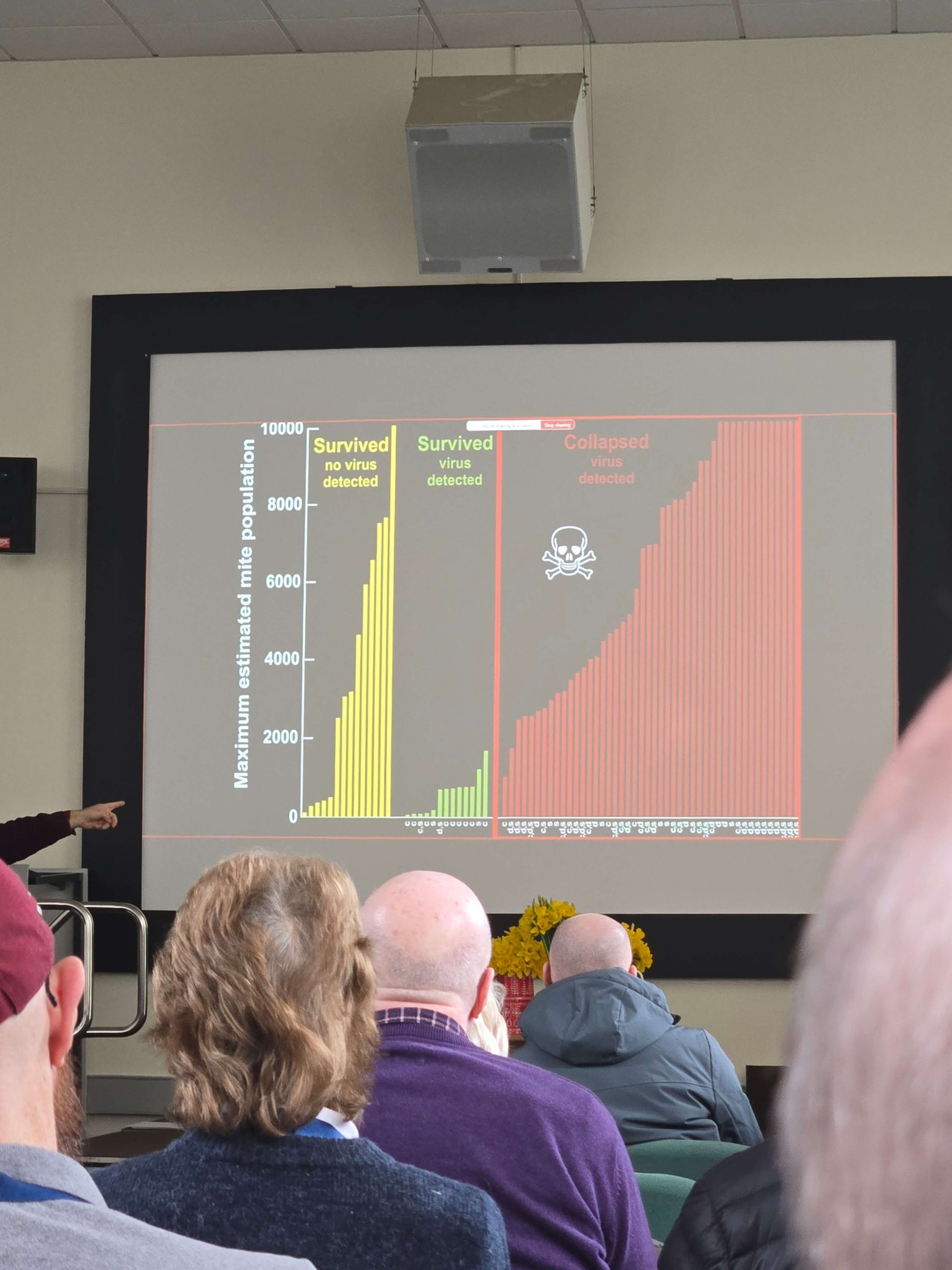 20260214_113342-scaled The Secret Lives of Varroa Mites (Or: How Bees Are Way Smarter Than We Give Them Credit For)