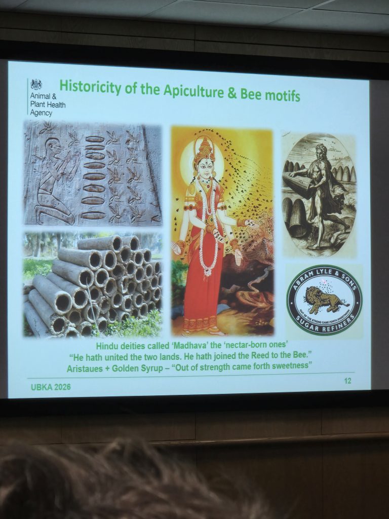 20260214_144010-768x1024 When a Real Bee Scientist Talks, We Take Notes