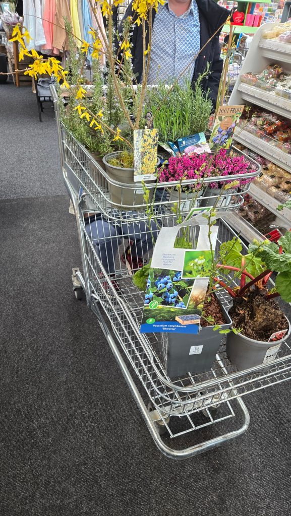20260322_153950-577x1024 The Garden Centre Lied to Us (And We Nearly Believed It)