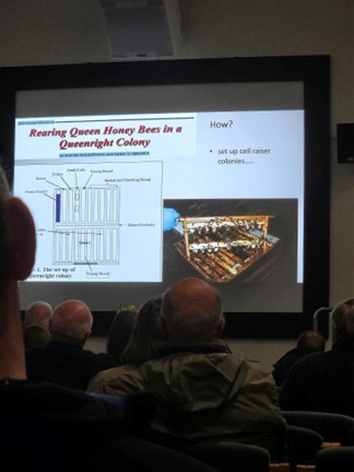 Picture7 We Went to a Queen Rearing Talk and Our Minds Were Blown