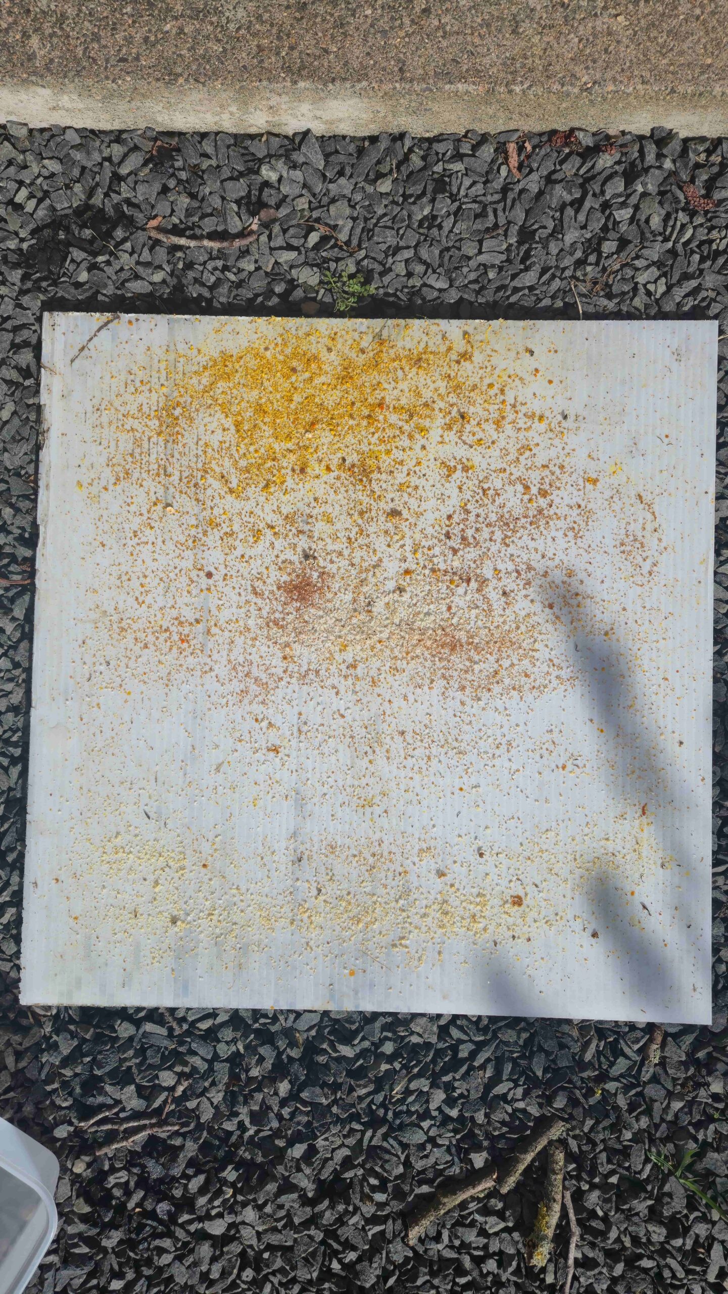 varroa board