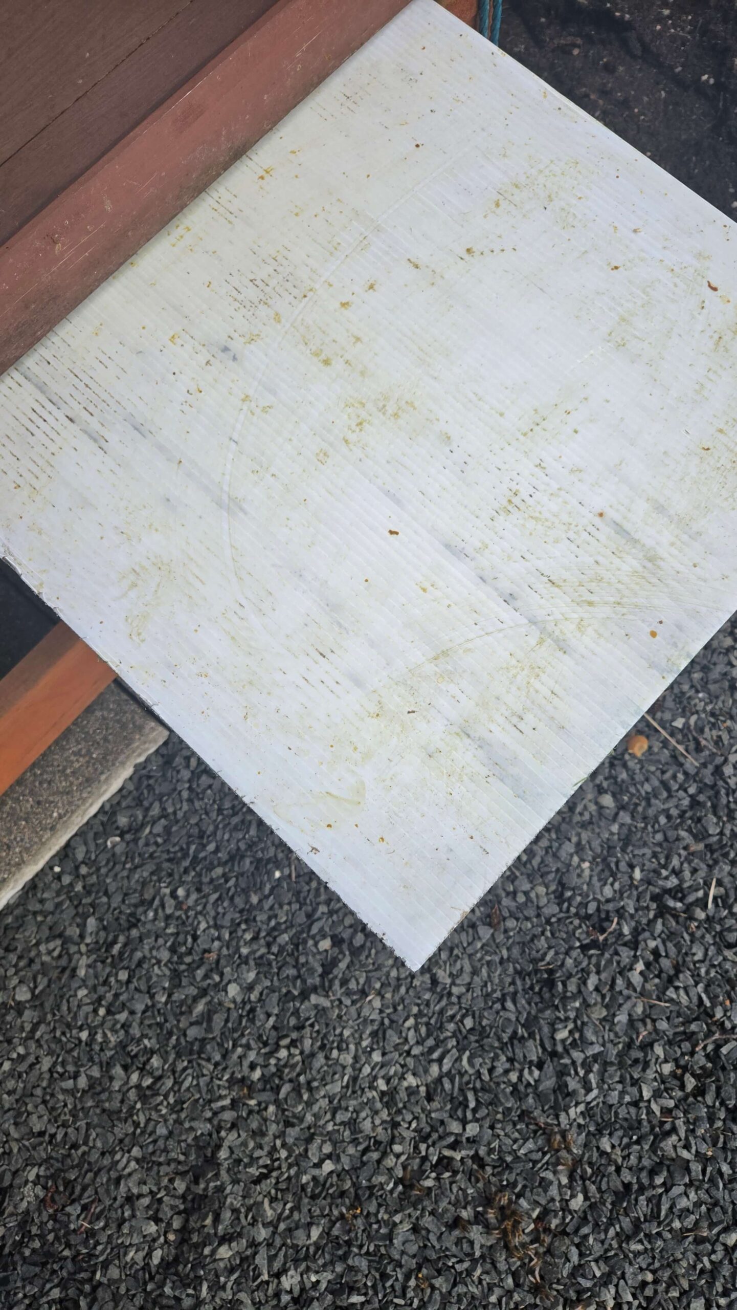 The white correx board, slid under the mesh floor for a week. Time to see what the bees have been dropping.