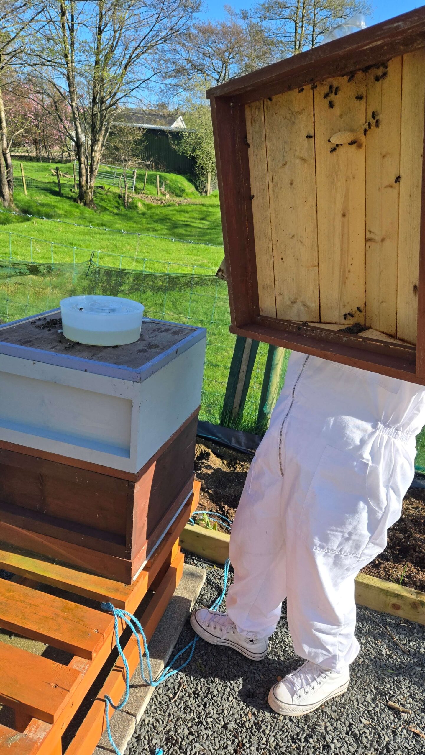 The moment you go from beekeeper in theory to beekeeper in practice.