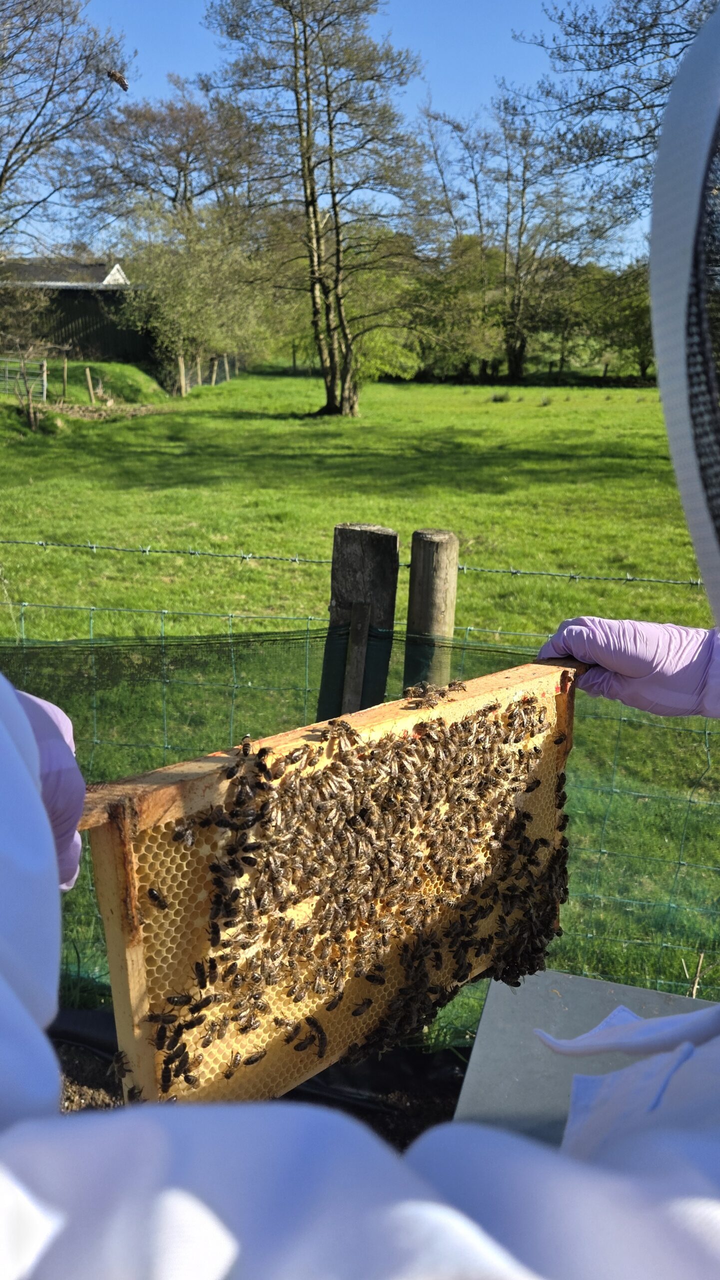 Frame one. Queen not on it. Outer frames almost never are but you always check.