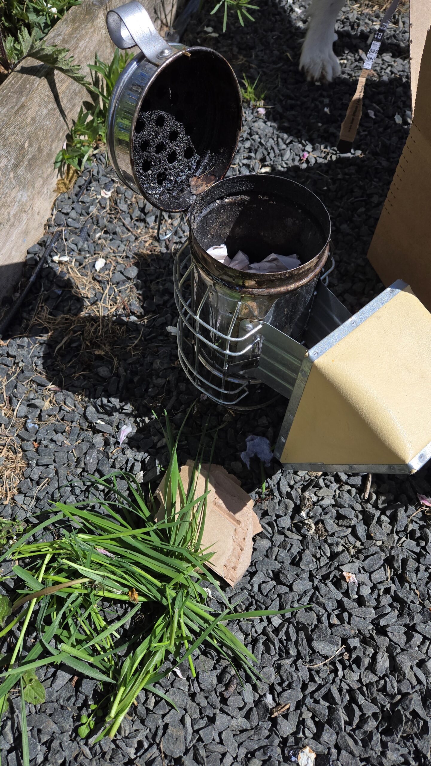 Torn cardboard pieces added on top of burning paper inside the metal canister