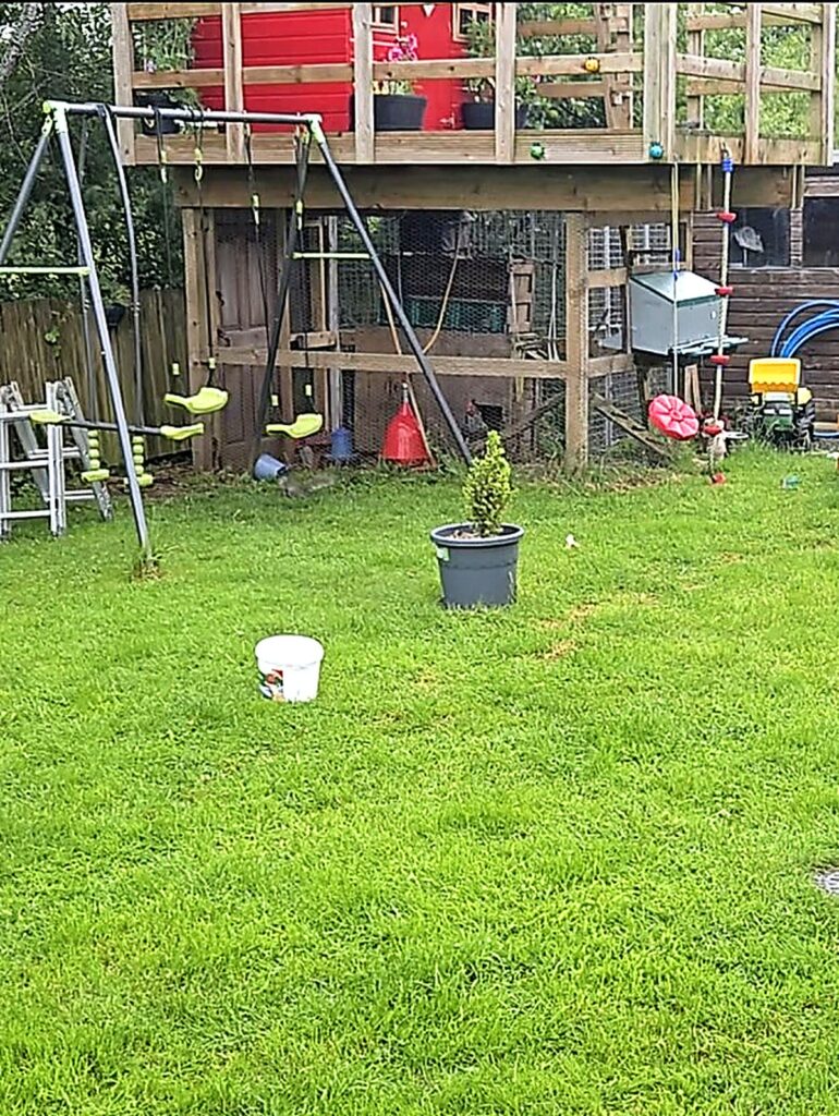 Chicken run and treehouse garden setup in Broughshane with automatic feeder visible