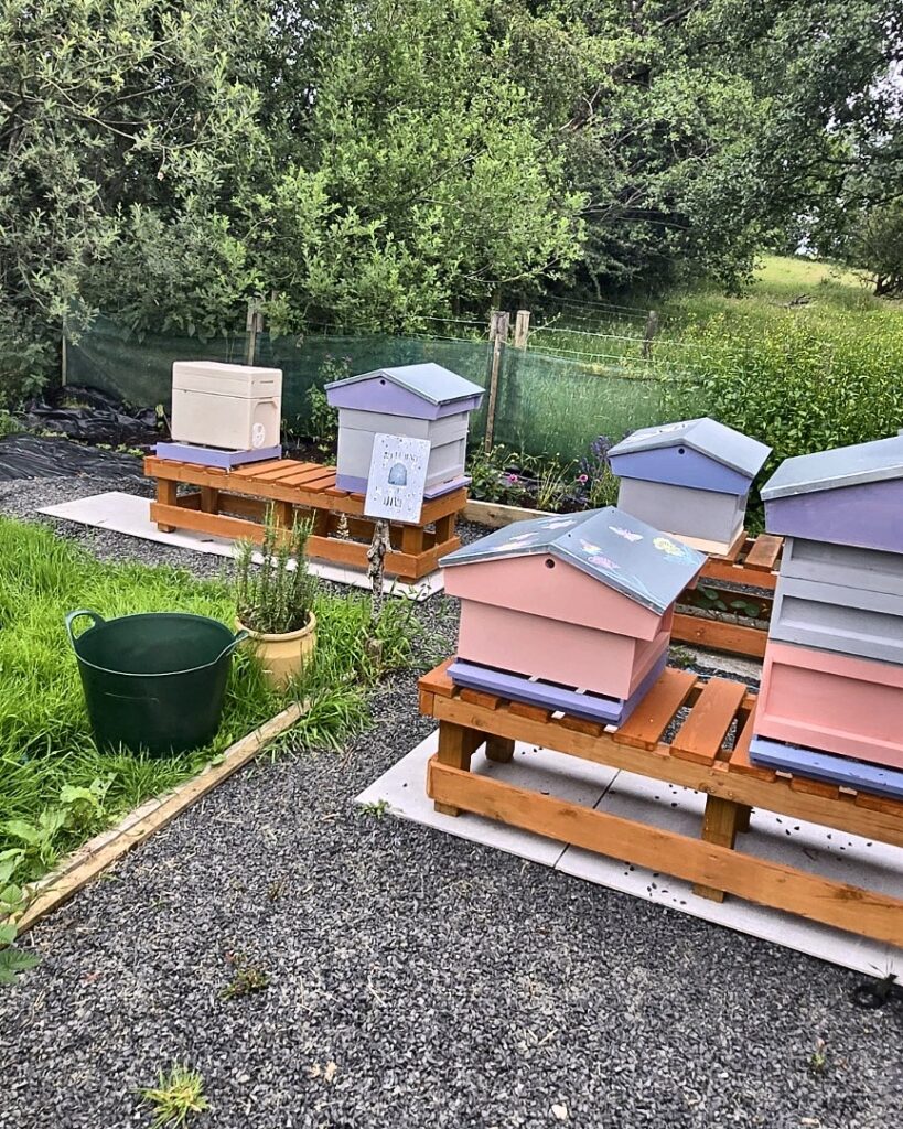 Apiary Garden