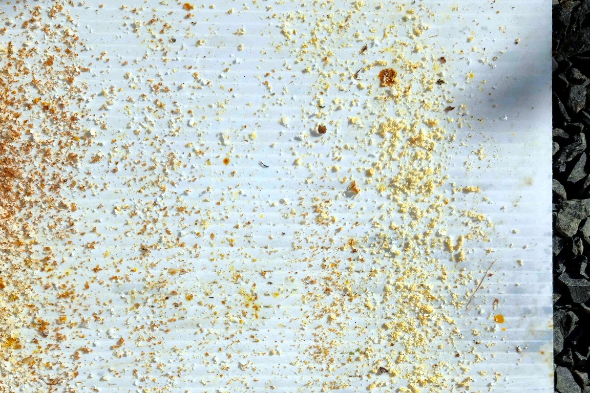 Debris on the white inspection board, wax cappings and pollen scattered across it